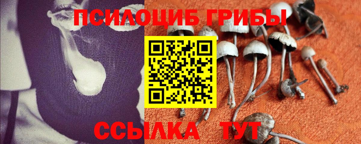 Псилоцибиновые грибы Magic Shrooms  где купить   Лесосибирск  Вход с VPN 